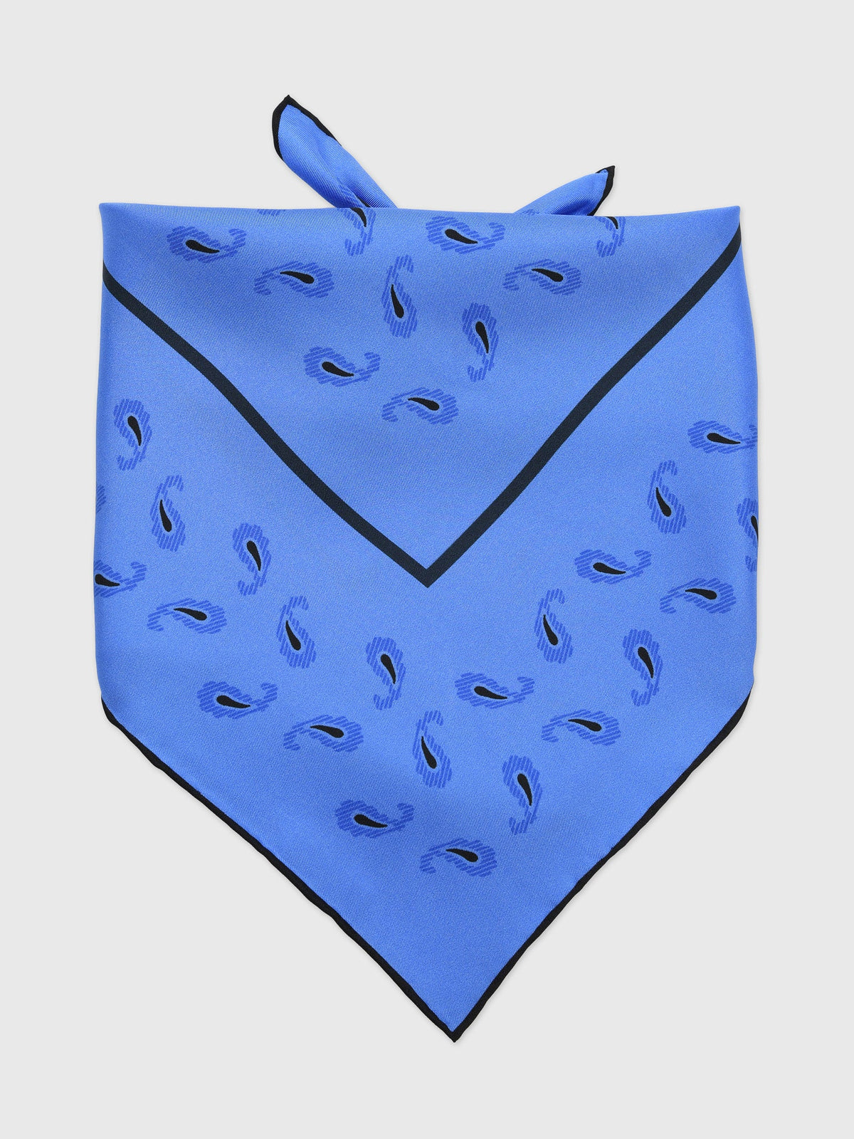 Otzio Women's Silk Scarf