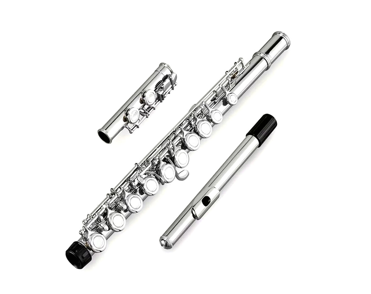 Freedom 16-Key C Flute Nickel Plated Student Beginner Hard Case