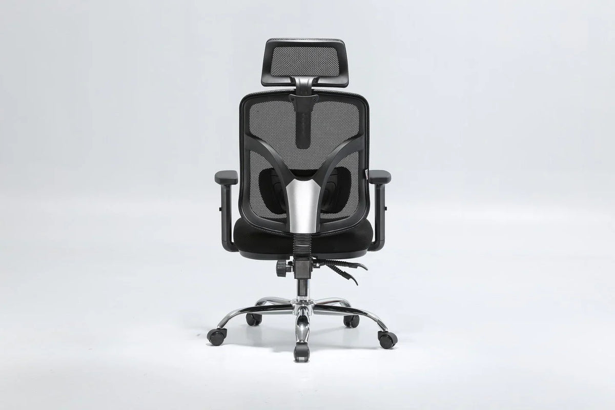 SIHOO M56 Ergonomics Office Chair (Black)
