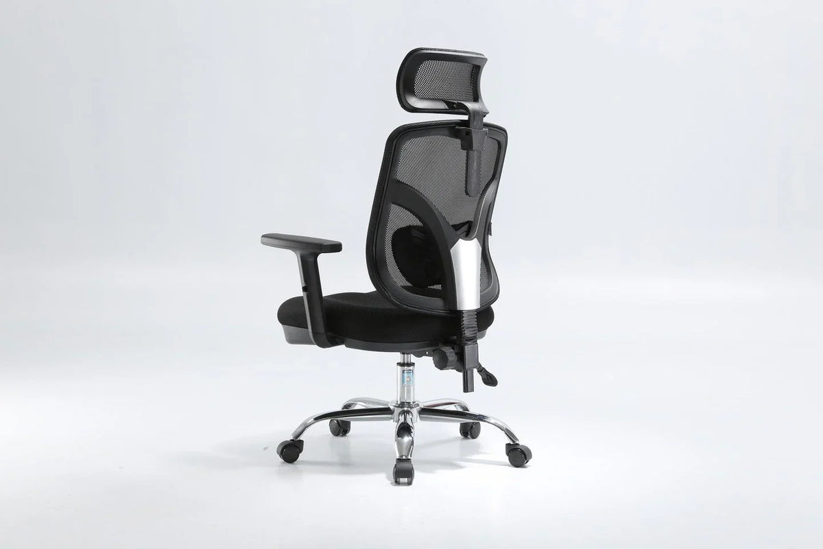 SIHOO M56 Ergonomics Office Chair (Black)