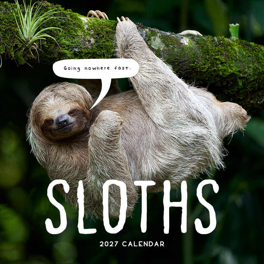 Sloths Calendar 2027