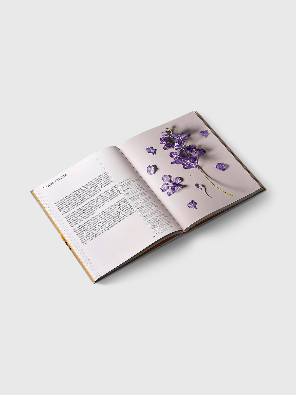 Rizzoli Orchids: Botanical Portraits: Beauty, Natural History, Botany