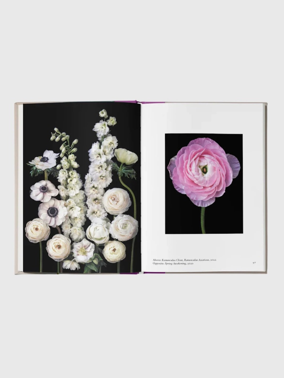 National Book Network New Photography of the Flower