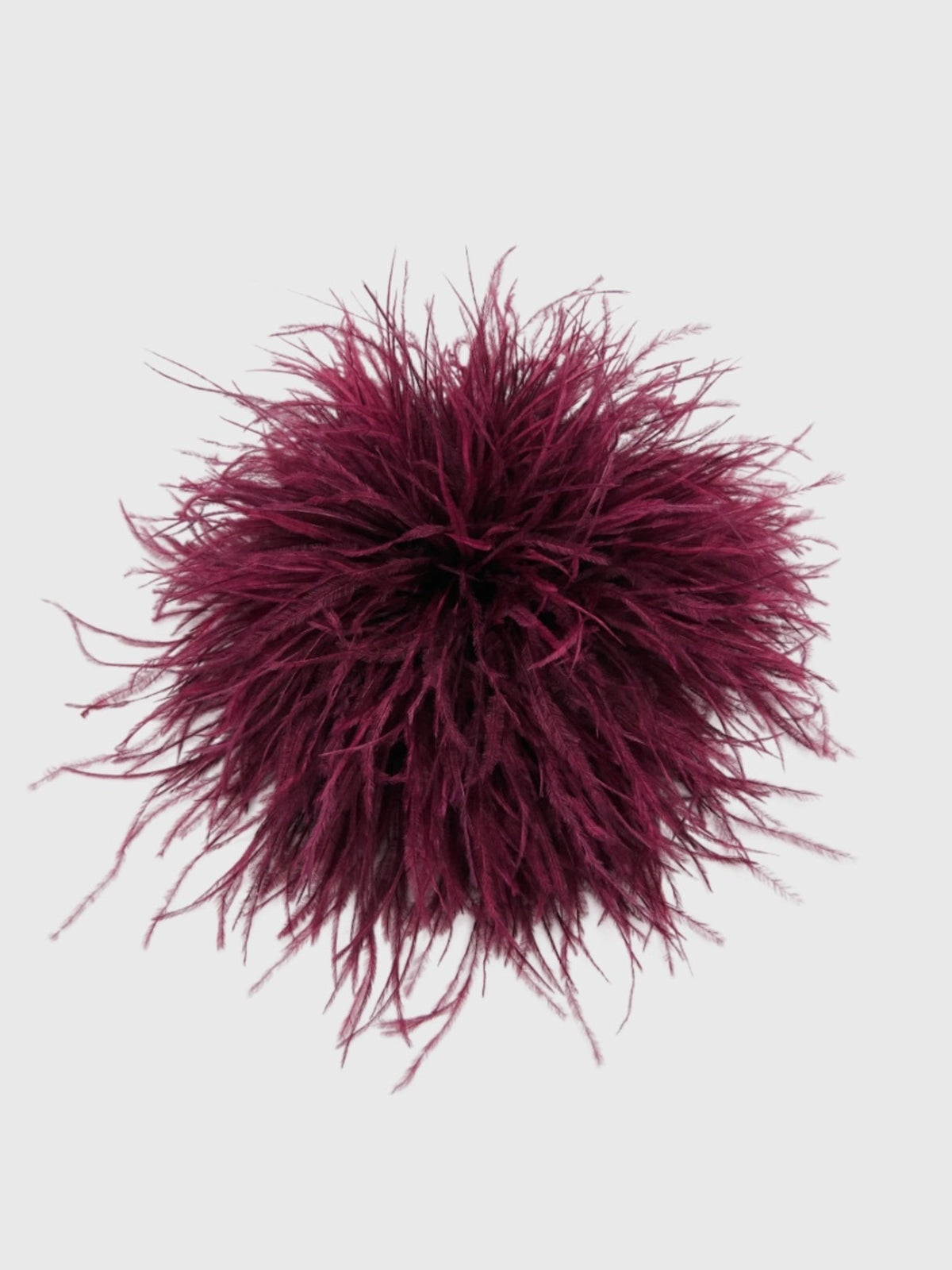 Essentiel Antwerp Kurdy Ostrich Feather Brooch