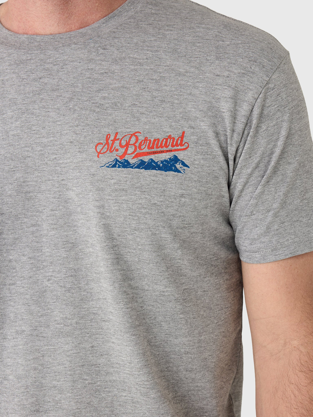 Saint Bernard Men's Mountains Tee