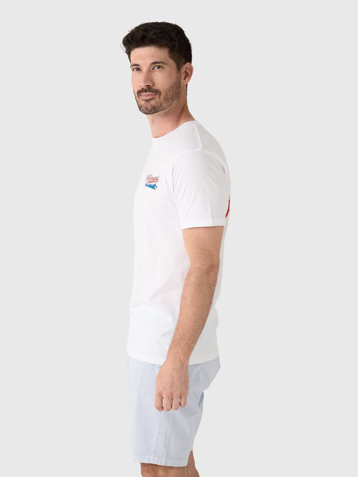 Saint Bernard Men's Mountains Tee