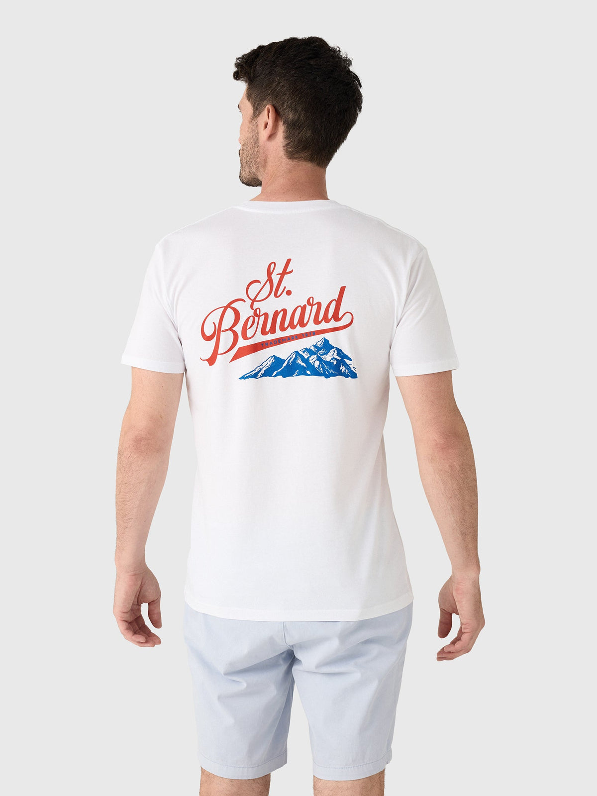 Saint Bernard Men's Mountains Tee