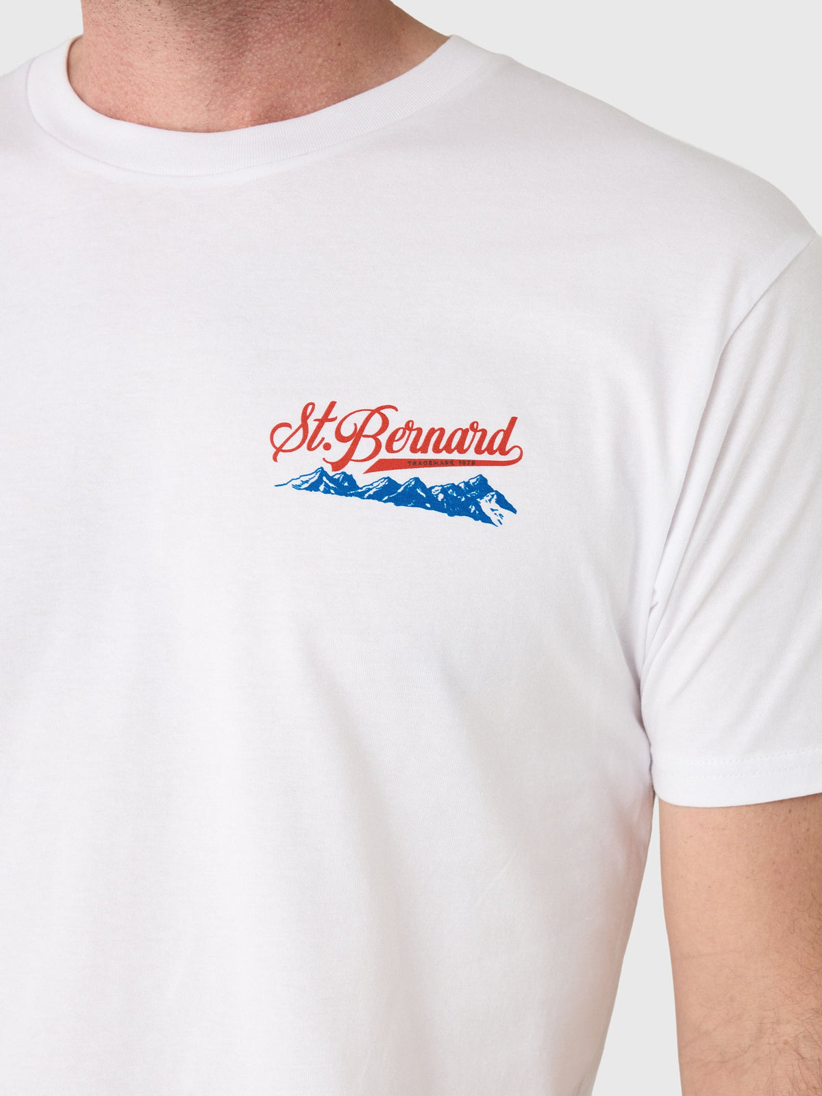 Saint Bernard Men's Mountains Tee
