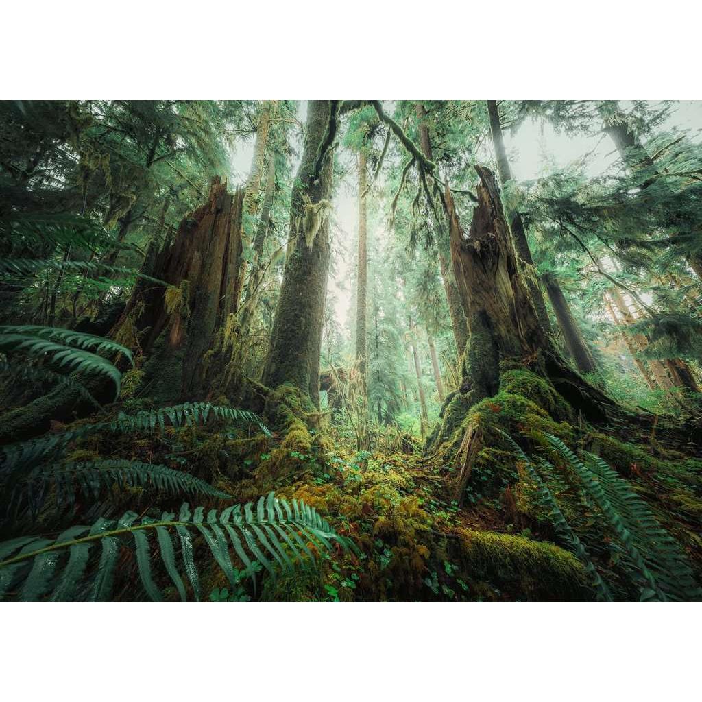Ravensburger 1000pc In the Forest Puzzle