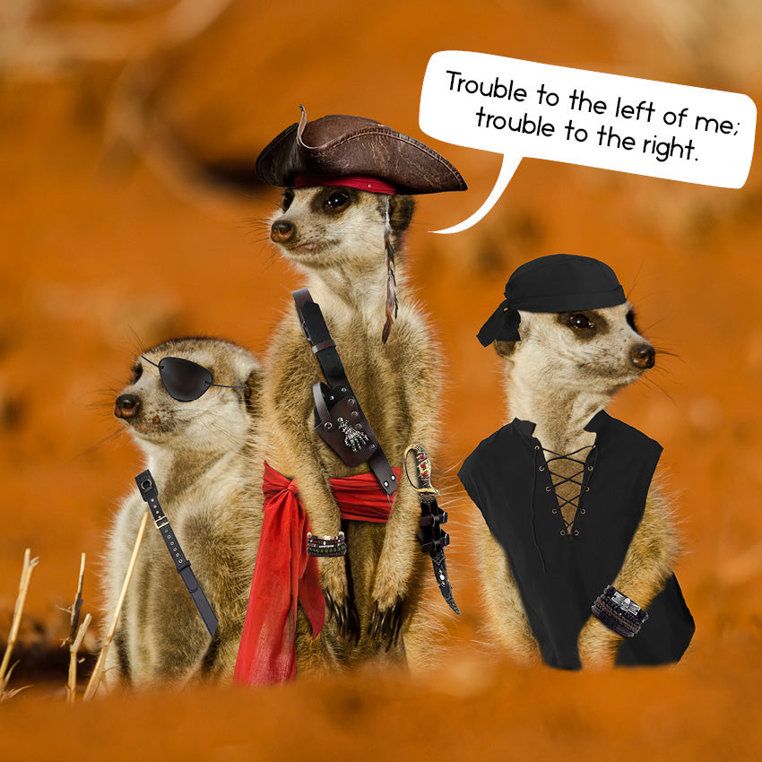 Gangs of Meerkat Manor Calendar 2027