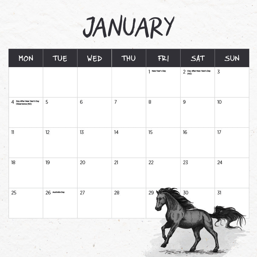 Wild Horses The Brumby Calendar 2027