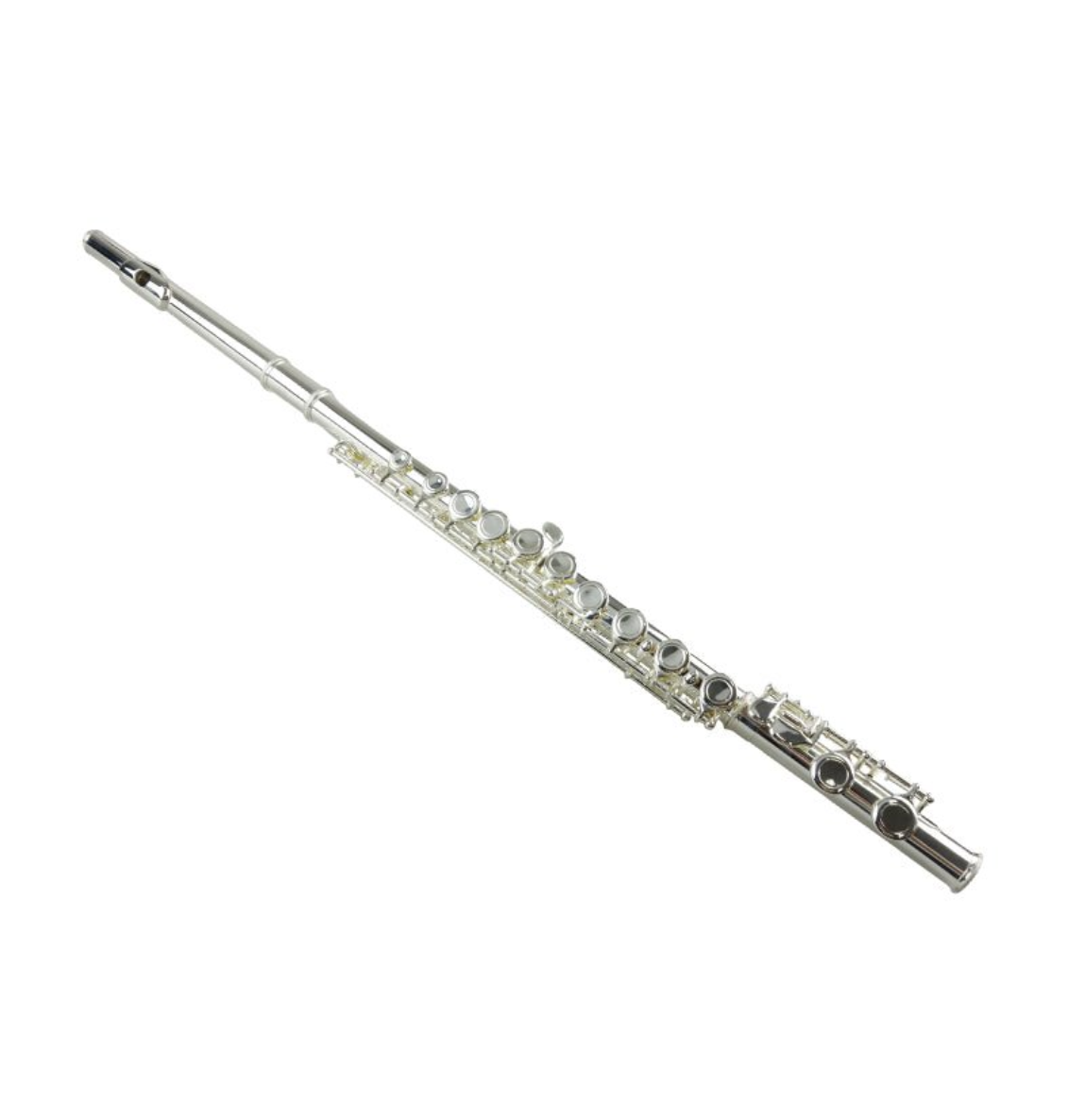 Freedom  16-Key C Flute Nickel Plated Student Beginner Hard Case