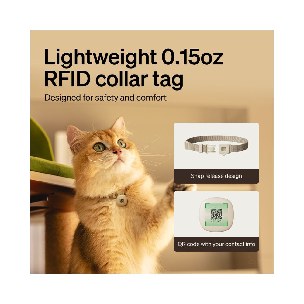 Petlibro One RFID Smart Feeder 3L WiFi Automatic Cat Feeder Coffee