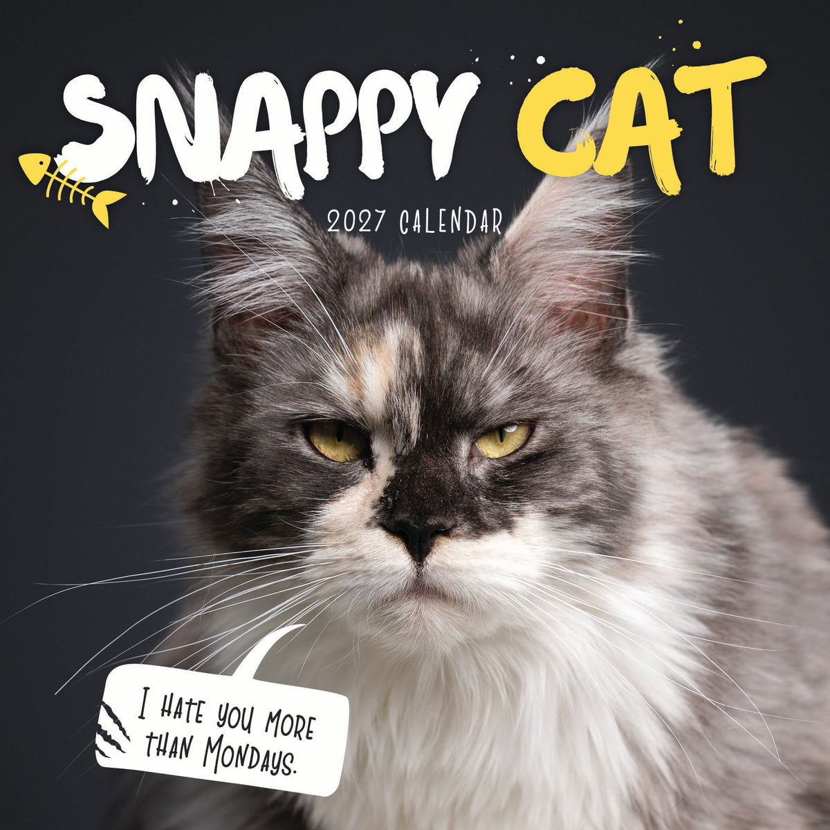 Snappy Cat Calendar 2027