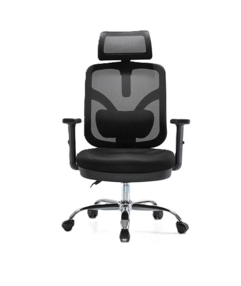 SIHOO M56 Ergonomics Office Chair (Black)
