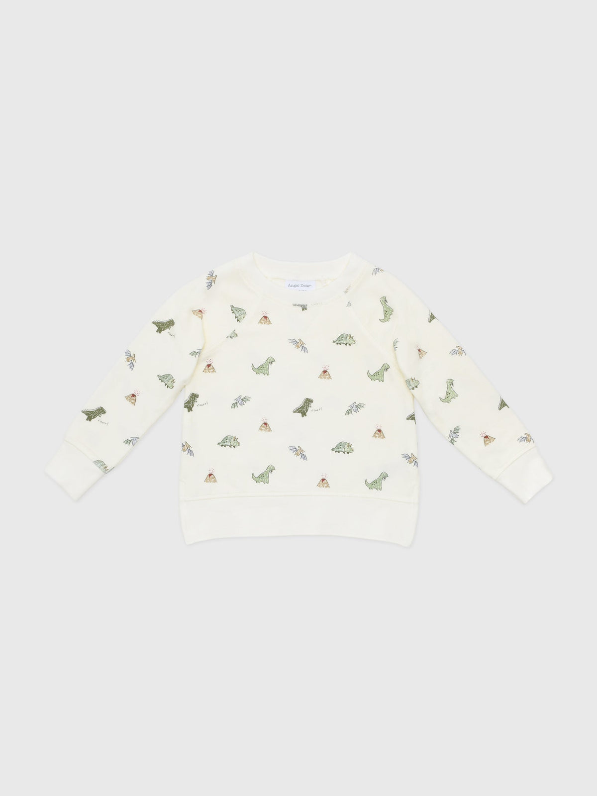 Angel Dear Baby Boys' Dinos Raglan Sweatshirt
