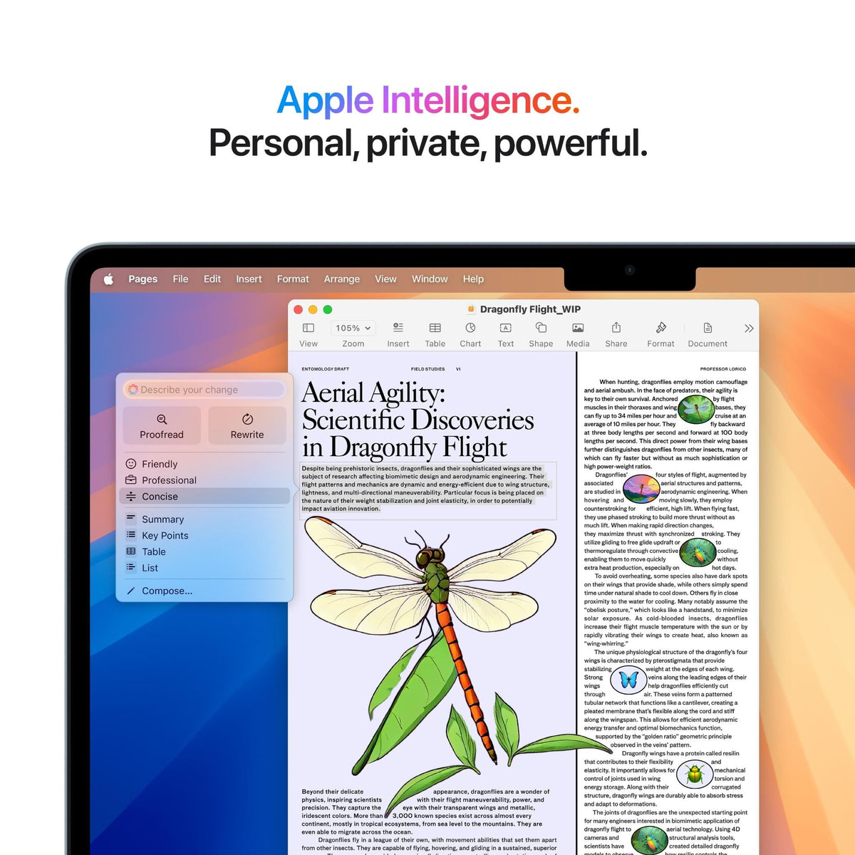 Apple MacBook Air 13-inch with M4 Chip, 256GB/16GB (Sky Blue)