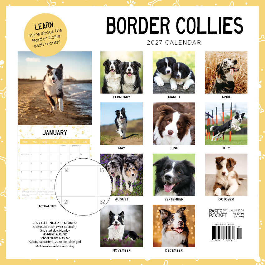 Border Collies Calendar 2027