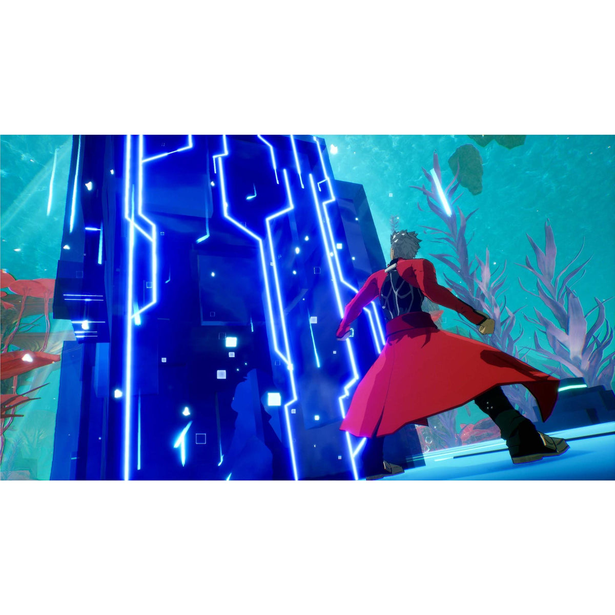 Fate/EXTRA Record Limited Edition