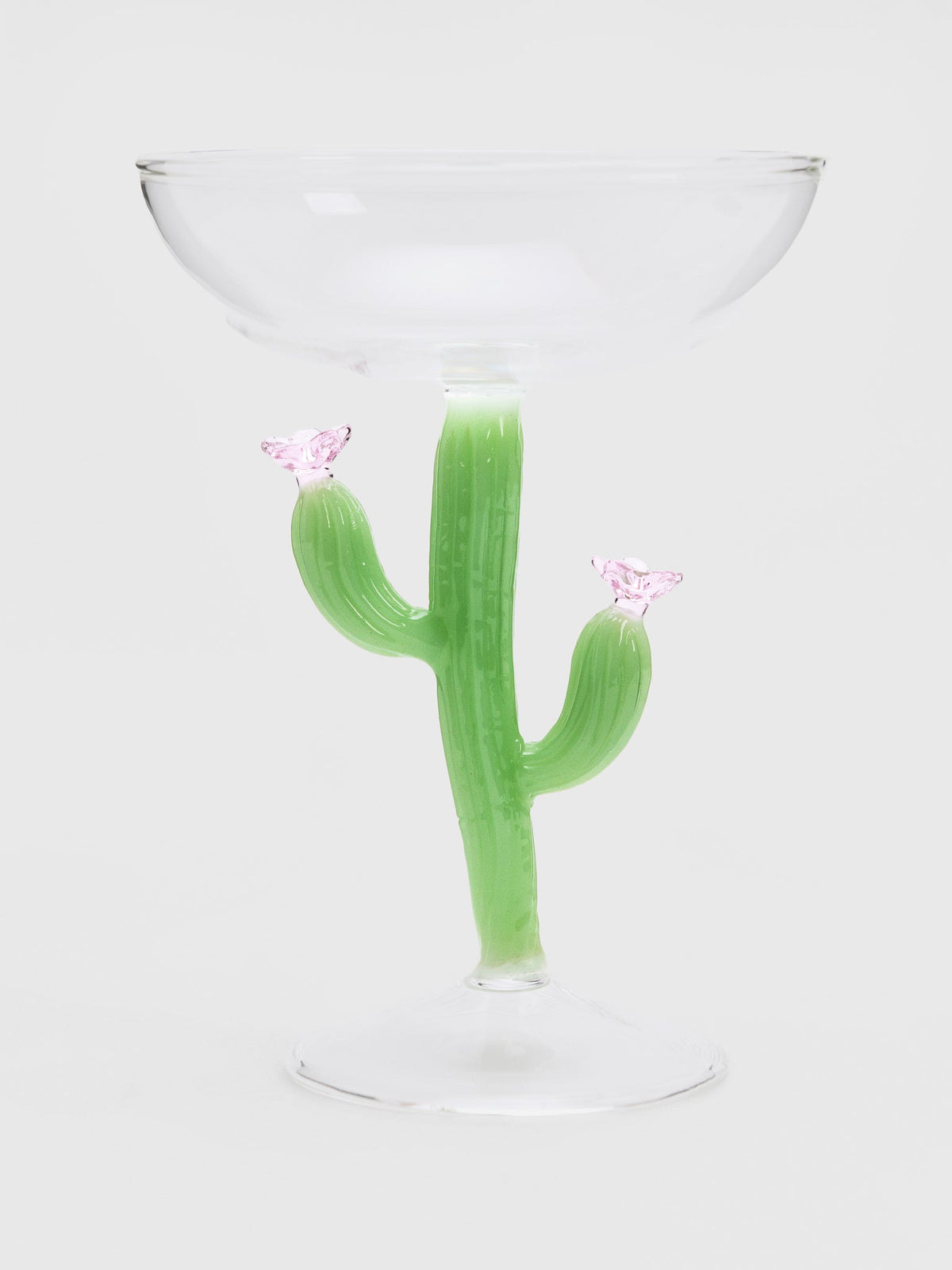 Ichendorf Desert Plants Champagne Bowl