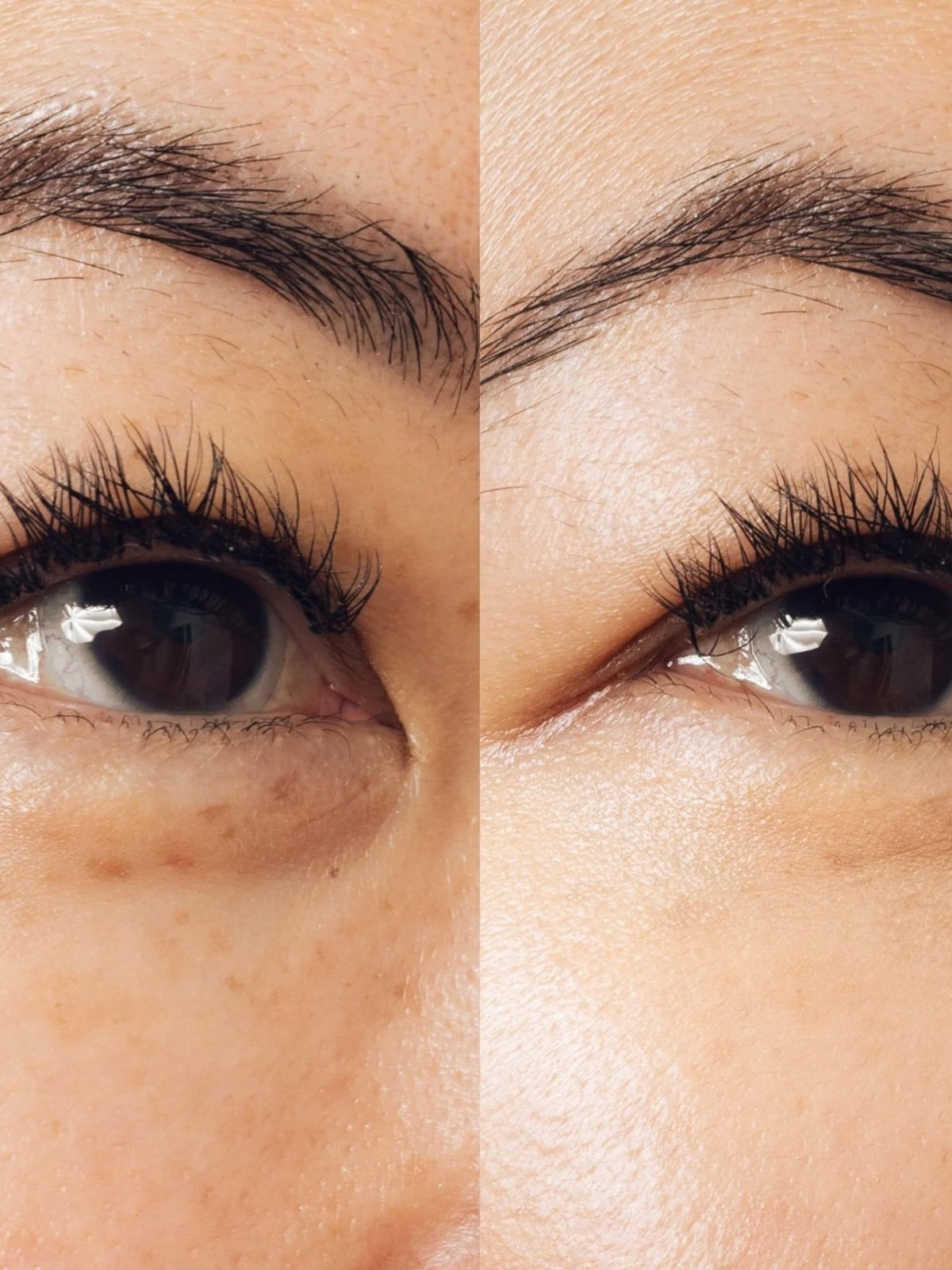 Storied Beauty CONCEALED Tinted Eye Cream