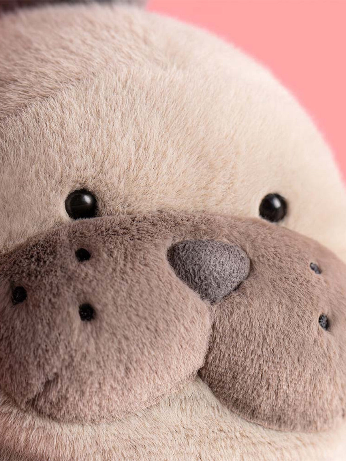 Jellycat Roarwell Sea Lion Plush