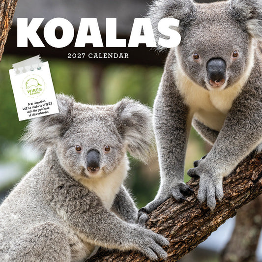 Koalas Calendar 2027