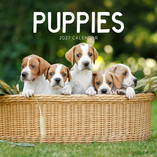 Puppies Calendar 2027
